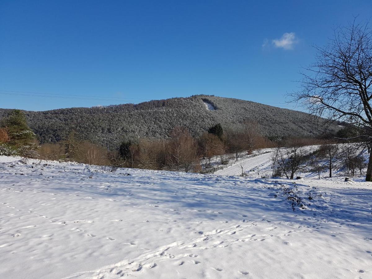 Hoellenbergblick Spirkelbach Dış mekan fotoğraf